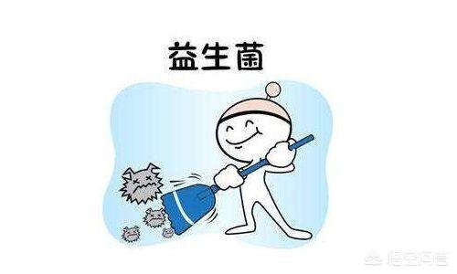 综合